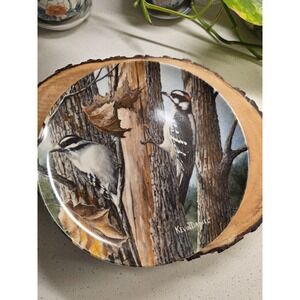 Knowles Downy Woodpecker Plate Britannica Birds of Your Garden 1987 Kevin Daniel